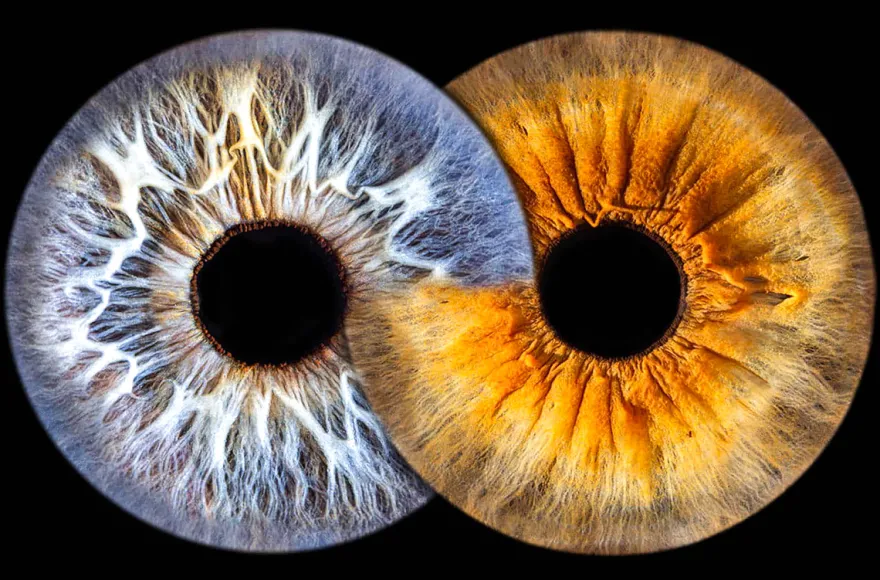 Iris Fotoshooting Langweid