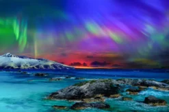 Island Kurztrip mit Polarlichter-Tour