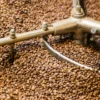 Kaffeerösterei Führung Lindau