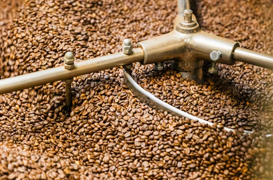 Kaffeerösterei Führung Lindau