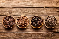 Kaffee Röstkurs Bonn