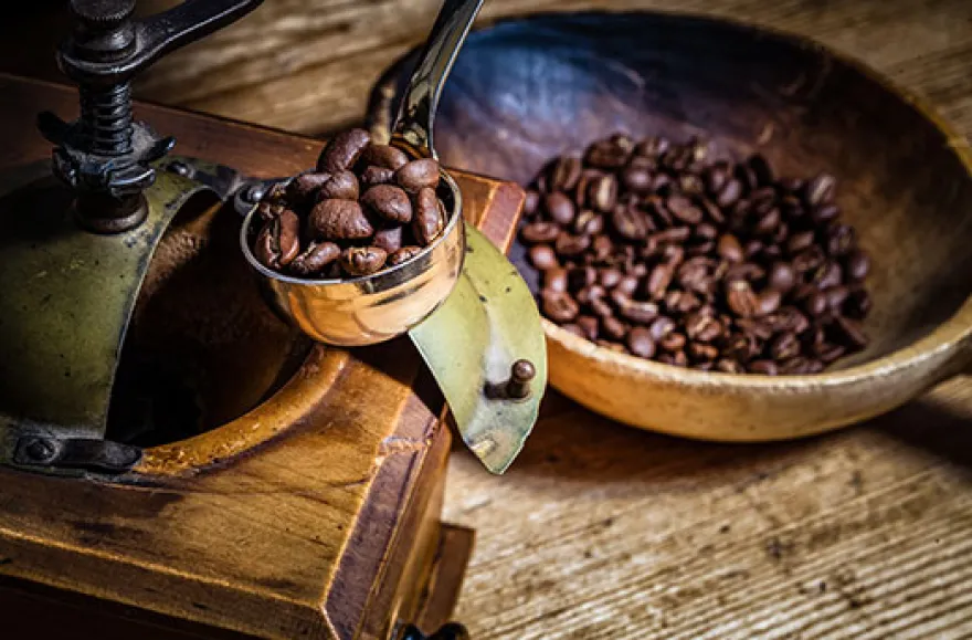 Kaffee Seminar