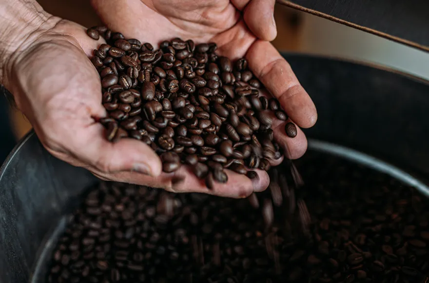Kaffeeseminar Düsseldorf