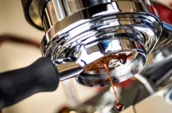 Kaffee Seminar Gießen