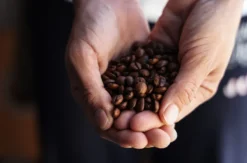 Kaffee Seminar Hattersheim am Main