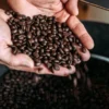 Kaffee Seminar Nohfelden