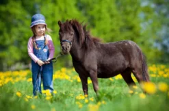 Kindertag am Bauernhof in Wiener Neustadt