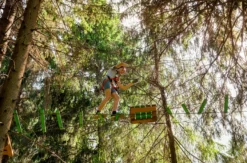 Kletterparcours im Waldseilgarten für 2