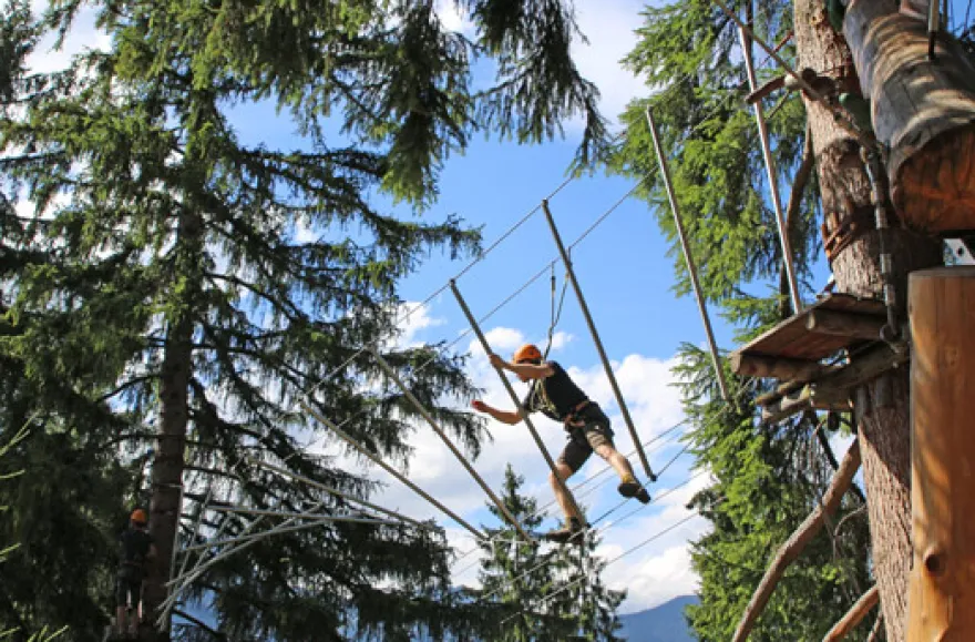 Kletterparcours im Waldseilgarten