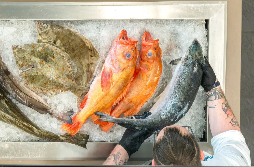 Koch-Show mit Fisch-Buffet in Bremerhaven für 2