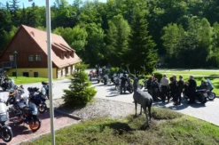 Krimi-Dinner-Erlebnis im Harz für 2 (2 Nächte)