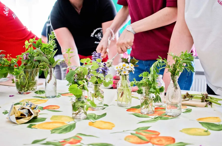 Kräuterseminar mit Dinner Bad Berneck im Fichtelgebirge