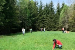 Kräuterwanderung