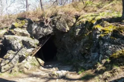 Kräuterwanderung Alexisbad (2,5 Std.)