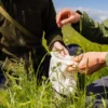 Kräuterwanderung Wershofen