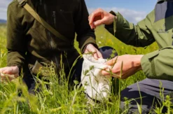 Kräuterwanderung Wershofen