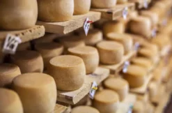 Käse selber machen