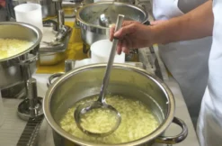Käse selber machen