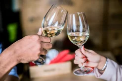 Käse- und Weintasting Online-Seminar für 2