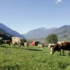 Kulinarische Reise Lombardei für 2 (1 Nacht)