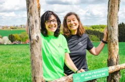 Kulinarische Städtewanderung Michelstadt