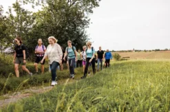 Kulinarische Städtewanderung Michelstadt