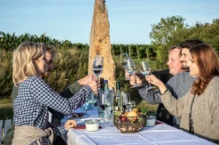 Kulinarische Weinbergwanderung in Worms