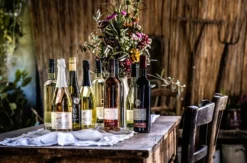 Kulinarische Weinbergwanderung in Worms