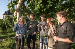 Kulinarische Weinbergwanderung in Worms
