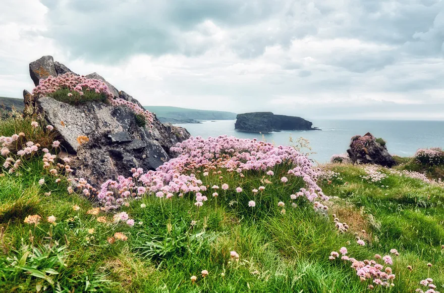 Kurztrip Dublin mit Cliffs of Moher