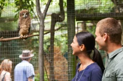 Kurztrip mit Zoobesuch Braunschweig für 2 (2 Nächte)