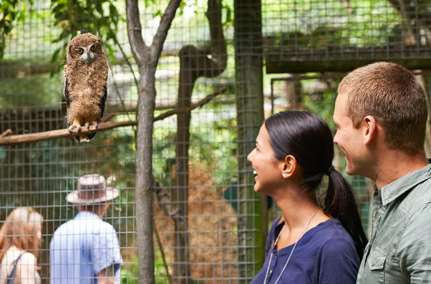 Kurztrip mit Zoobesuch Braunschweig für 2 (2 Nächte)