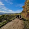 Kurzurlaub für bis zu 5 Personen Dipbach (2 Nächte)