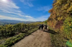Kurzurlaub für bis zu 5 Personen Dipbach (2 Nächte)