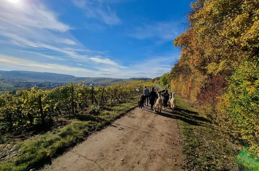 Kurzurlaub für bis zu 5 Personen Dipbach (2 Nächte)