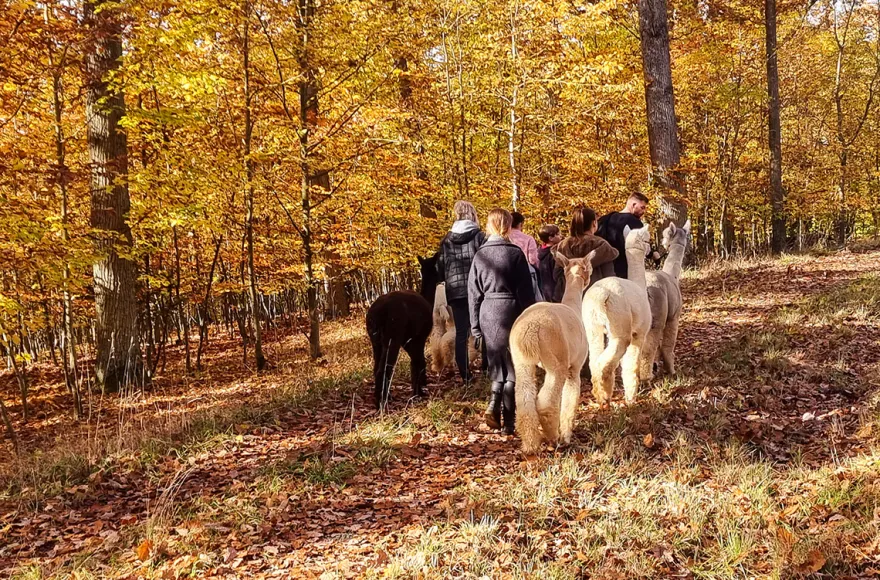 Kurzurlaub für bis zu 5 Personen Dipbach (2 Nächte)