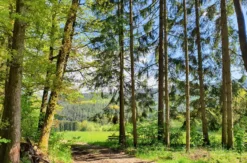 Kurzurlaub im Bayerischen Wald für 2 (2 Nächte)