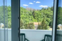 Kurzurlaub im Harz Alexisbad für 2 (2 Nächte)