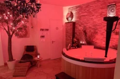 Kurzurlaub im Wellness-Apartment Münsterland für 2 (1 Nacht)