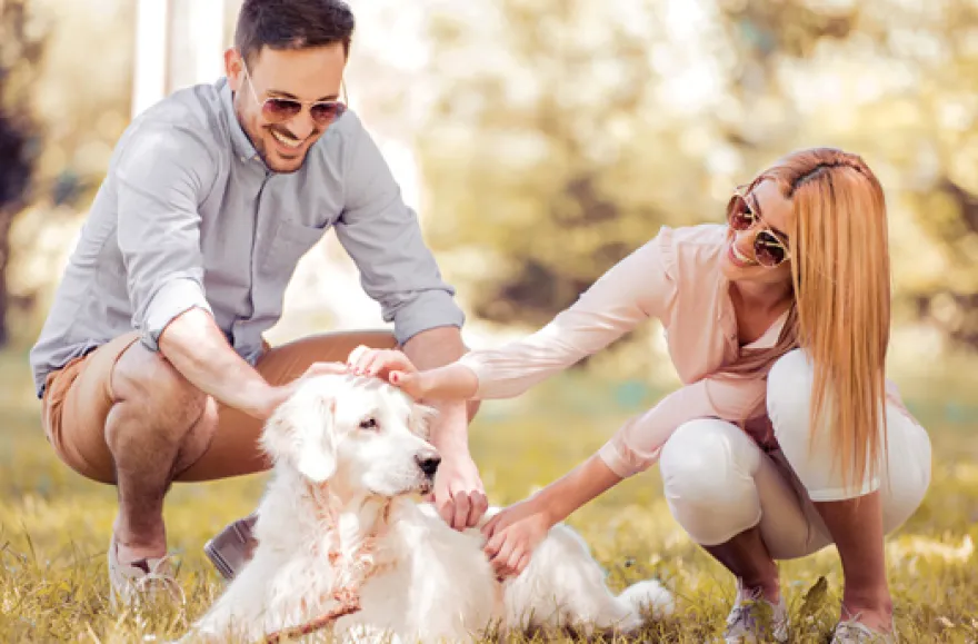 Kurzurlaub mit Hund für 2