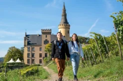 Kurzurlaub Schloss Arenfels für 2 (inkl. Weinpicknick)
