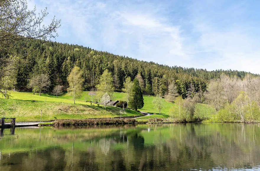 Kurzurlaub Schwarzwald für 2 (1 Nacht)
