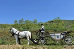 Kutschfahrt Wien für 2