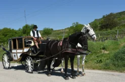 Kutschfahrt Wien für 2