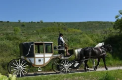 Kutschfahrt Wien für 2