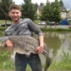 Lachsforellen fischen für 2
