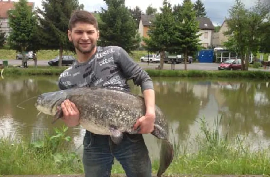 Lachsforellen fischen für 2