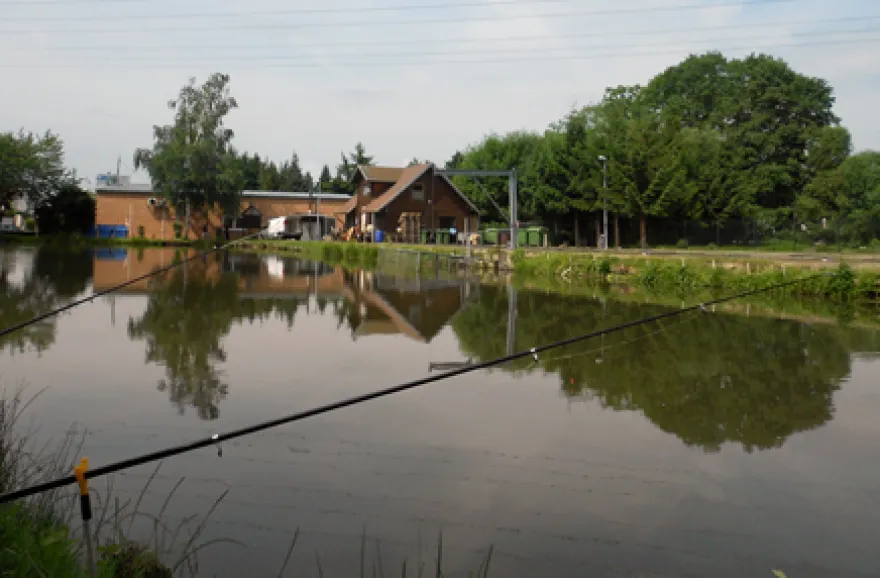Lachsforellen fischen für 2