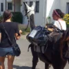 Lama- & Esel-Trekking-Tour Stadecken-Elsheim