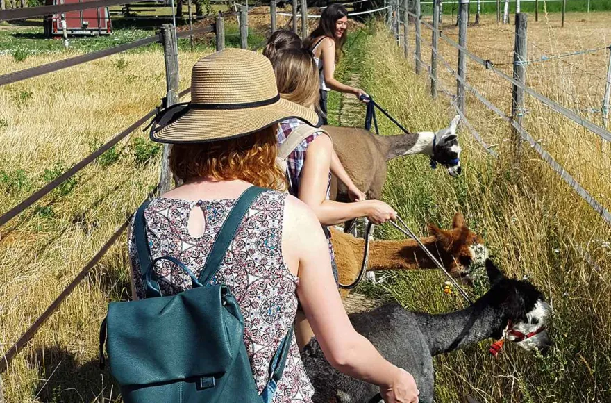 Lama- & Esel-Trekking-Tour Stadecken-Elsheim